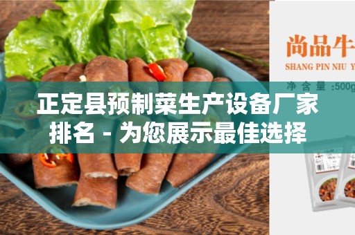 正定县预制菜生产设备厂家排名 - 为您展示最佳选择