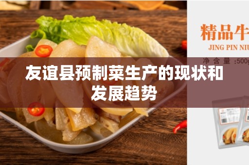 友谊县预制菜生产的现状和发展趋势