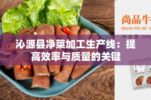 沁源县净菜加工生产线：提高效率与质量的关键