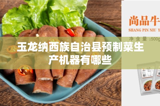 玉龙纳西族自治县预制菜生产机器有哪些
