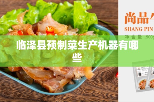 临泽县预制菜生产机器有哪些