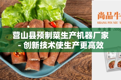 营山县预制菜生产机器厂家- 创新技术使生产更高效