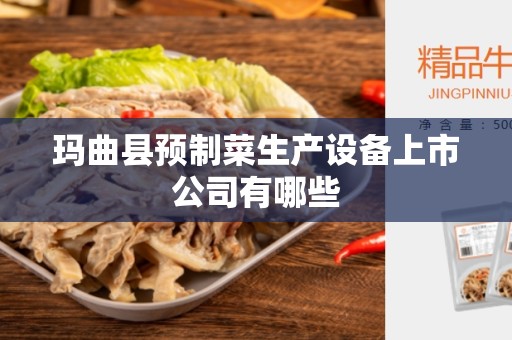 玛曲县预制菜生产设备上市公司有哪些