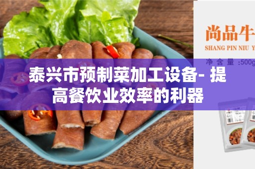 泰兴市预制菜加工设备- 提高餐饮业效率的利器
