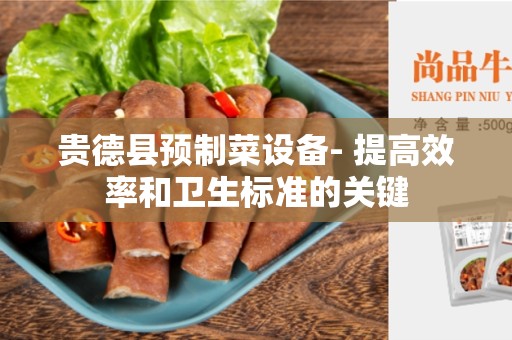 贵德县预制菜设备- 提高效率和卫生标准的关键
