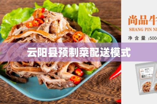 云阳县预制菜配送模式
