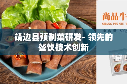 靖边县预制菜研发- 领先的餐饮技术创新