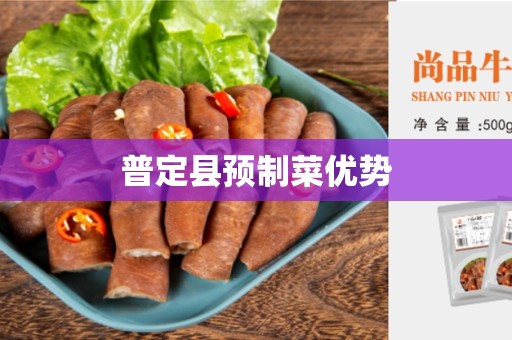 普定县预制菜优势
