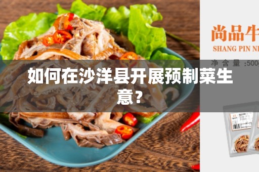 如何在沙洋县开展预制菜生意？
