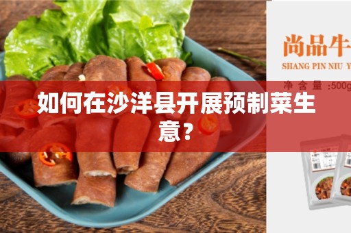 如何在沙洋县开展预制菜生意？