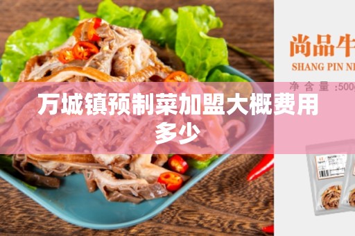 万城镇预制菜加盟大概费用多少