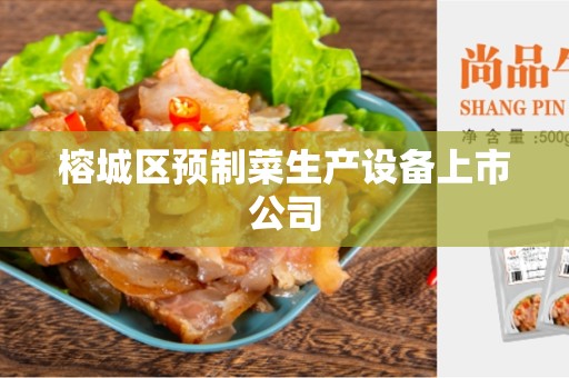 榕城区预制菜生产设备上市公司