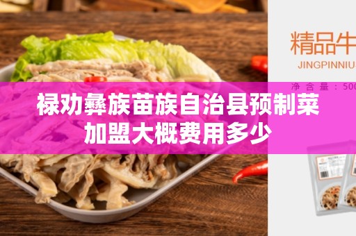 禄劝彝族苗族自治县预制菜加盟大概费用多少