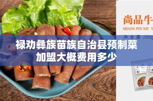 禄劝彝族苗族自治县预制菜加盟大概费用多少