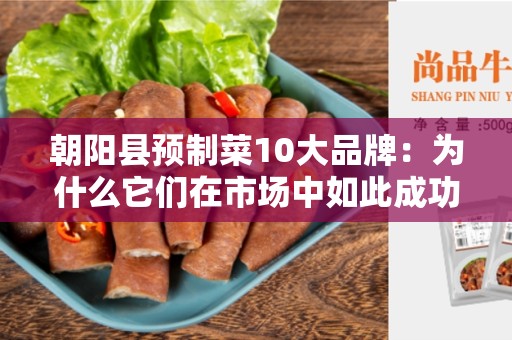 朝阳县预制菜10大品牌：为什么它们在市场中如此成功？