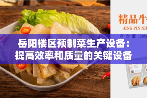岳阳楼区预制菜生产设备：提高效率和质量的关键设备