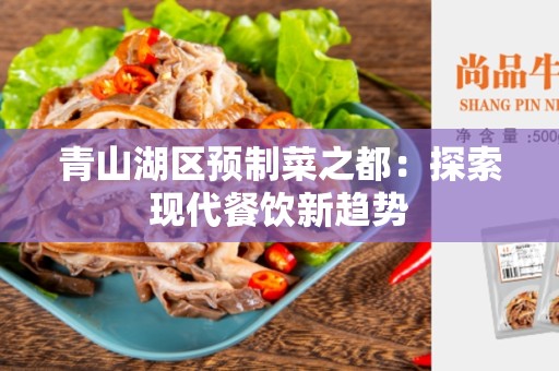 青山湖区预制菜之都：探索现代餐饮新趋势