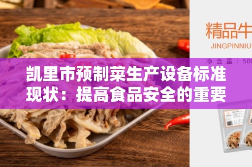 凯里市预制菜生产设备标准现状：提高食品安全的重要步骤