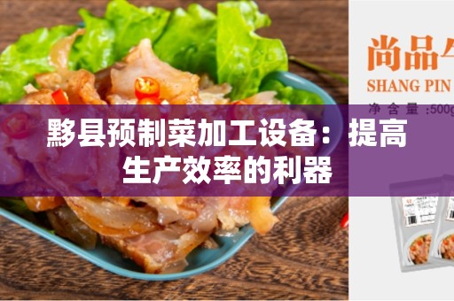 黟县预制菜加工设备：提高生产效率的利器