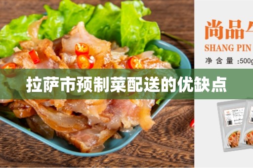 拉萨市预制菜配送的优缺点