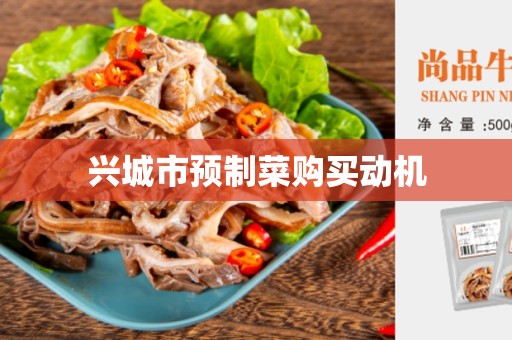 兴城市预制菜购买动机