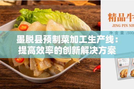 墨脱县预制菜加工生产线：提高效率的创新解决方案