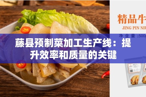 藤县预制菜加工生产线：提升效率和质量的关键