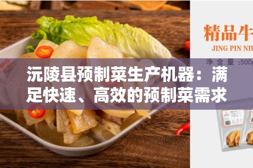 沅陵县预制菜生产机器：满足快速、高效的预制菜需求