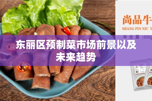 东丽区预制菜市场前景以及未来趋势