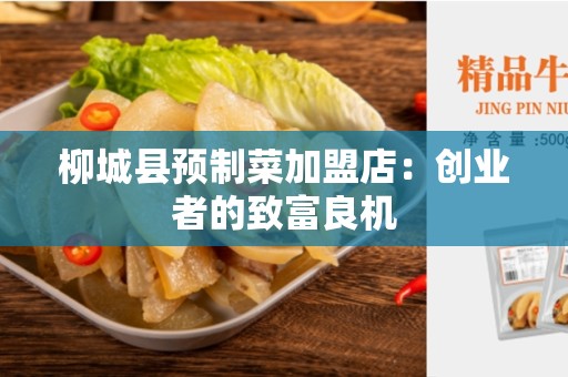 柳城县预制菜加盟店：创业者的致富良机
