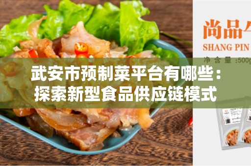 武安市预制菜平台有哪些：探索新型食品供应链模式