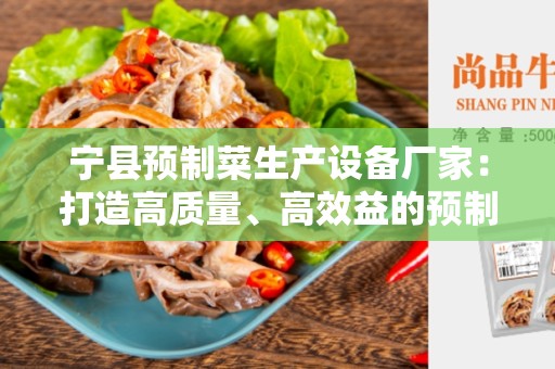 宁县预制菜生产设备厂家：打造高质量、高效益的预制菜生产线