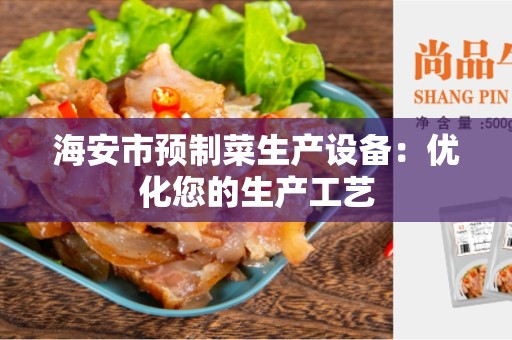 海安市预制菜生产设备：优化您的生产工艺