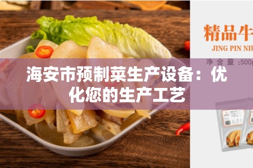 海安市预制菜生产设备：优化您的生产工艺