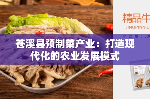 苍溪县预制菜产业：打造现代化的农业发展模式