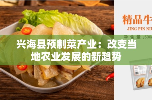 兴海县预制菜产业：改变当地农业发展的新趋势