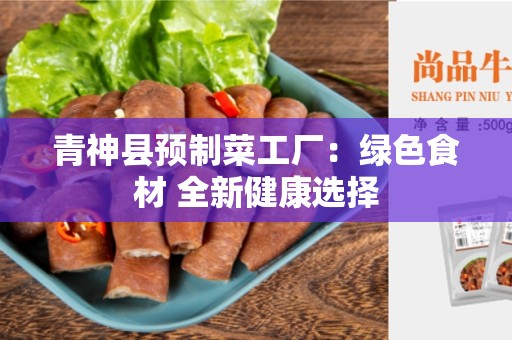 青神县预制菜工厂：绿色食材 全新健康选择