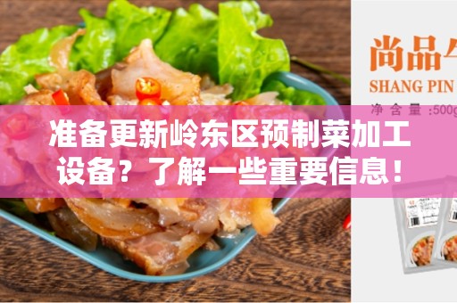 准备更新岭东区预制菜加工设备？了解一些重要信息！