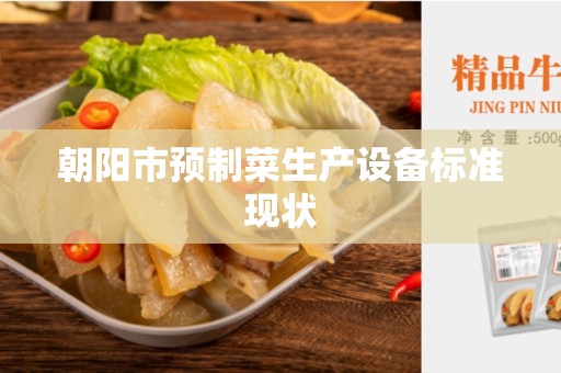 朝阳市预制菜生产设备标准现状