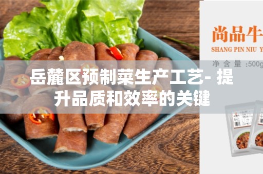岳麓区预制菜生产工艺- 提升品质和效率的关键