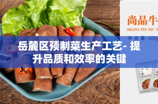 岳麓区预制菜生产工艺- 提升品质和效率的关键