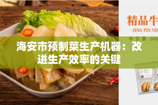 海安市预制菜生产机器：改进生产效率的关键