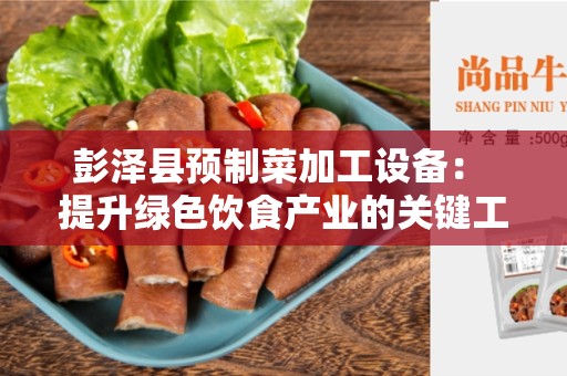 彭泽县预制菜加工设备： 提升绿色饮食产业的关键工具