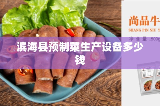 滨海县预制菜生产设备多少钱