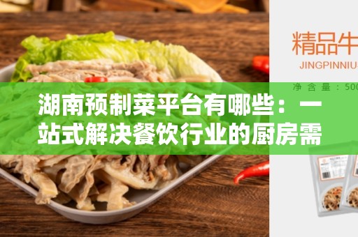 湖南预制菜平台有哪些：一站式解决餐饮行业的厨房需求