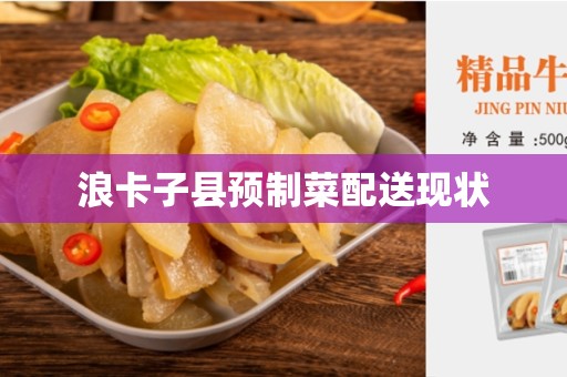 浪卡子县预制菜配送现状
