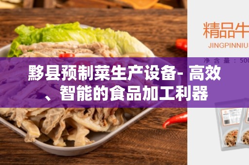 黟县预制菜生产设备- 高效、智能的食品加工利器