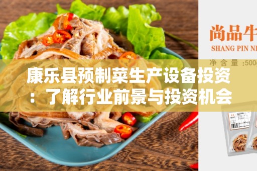 康乐县预制菜生产设备投资：了解行业前景与投资机会