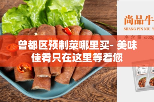 曾都区预制菜哪里买- 美味佳肴只在这里等着您