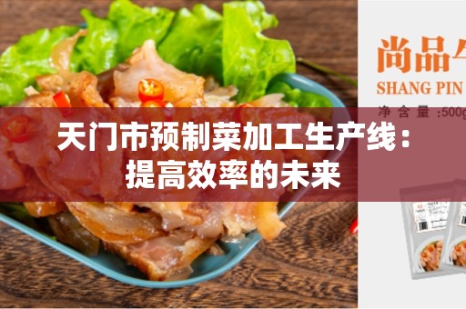 天门市预制菜加工生产线：提高效率的未来